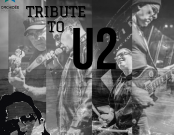 Tribute to U2 !